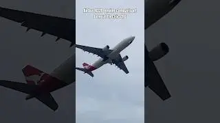 A330 engine comparison! Pratt and Whitney vs General Electric
