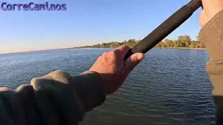 No cache ni un salmon, pero los tacos si viajaron😂😂