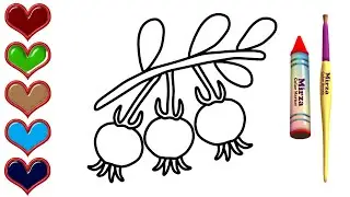 Ugni Fruit Drawing for Kids - Fruit Coloring Pages Learn Colors for Toddlers Babies