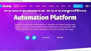 Buddy 'ICO' Review
