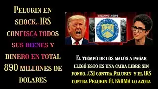 TODAS LAS CUENTAS DE PELUKIN FUERON CONFISCADAS POR EL IRS POR 840 MILLONES DE USD