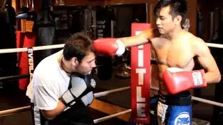 Punching at the Chest Against Evasive Fighters