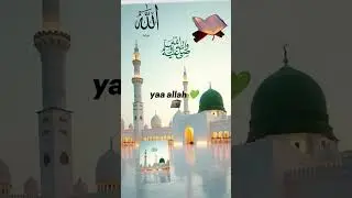 allah hafiz #allah #love