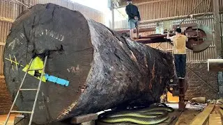 Master Woodworker with 20 Years Experience Shares SHOCKING Truth About Giant Shop Builds
