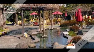 OEDO ONSEN MONOGATARI JAPAN
