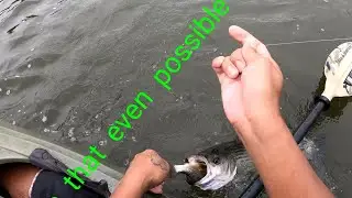 8/13/20 Oxford dam striper fishing using white perch