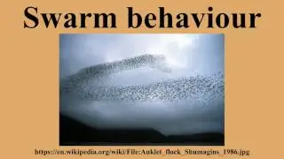 Swarm behaviour