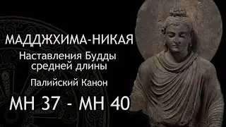 Мадджхима-никая. Наставления Будды средней длины. МН 37 - МН 40 / Студия Бодхи