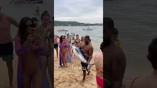 Выносят большого тунца из моря #тунец