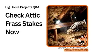 Attic Frass Stakes Heat Injection Termite Check