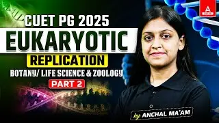 Eukaryotic Replication for CUET PG Life Science 2025 | Part 2 | By Anchal Ma'am