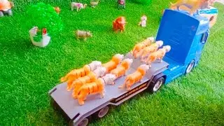Safari animals toy playset || Toy safari squad || Ep:5 || IA Mini Farm