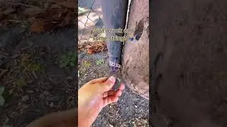 This #Geocache is a Diamond in the Rough! 💎 #shorts
