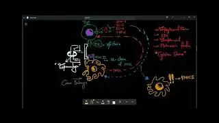 Superantigen (SAgs) | Microbiology, MBBS 2nd Year #mbbs #microbiology #notes #youtube #trending