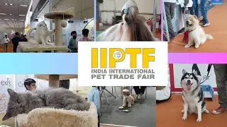 India's most viral pets at IIPTF Delhi ll IIPTF Pragati Maidan, Delhi