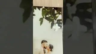 Newly Customized Album Wood Cover Engrave with High Quality #wedding  #album #fypシ  #photography