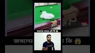 Bengali Dog Comedy Spectacle | Cute and Funny Antics