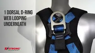KStrong&reg; Kapture&trade; Essential+ 5-Pt FBH, TB Waist Belt/Legs, Web Loop D-ring, ANSI - UFH16231GP(BL)