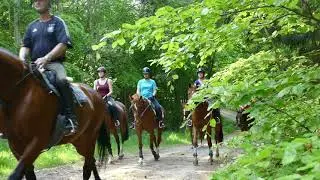 Reiturlaub in Mecklenburg-Vorpommern