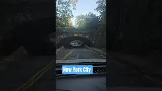 Driving Through NYC Tunnels & Tree-Lined Streets 🌆🌳 | Urban Vibes #trees #nyc