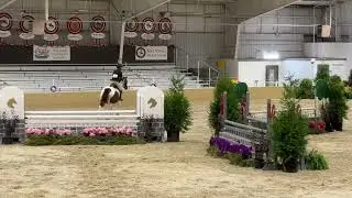 First place St. Louis Charity Horse show