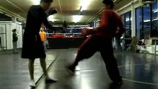 dmwa kali~silat
