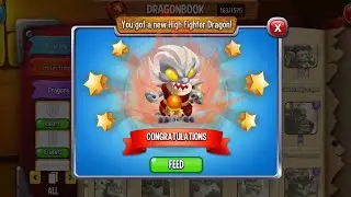 Dragon city n&acirc;g beast mod l&ecirc;n 1sao sao v&agrave; review high Fighter dragon