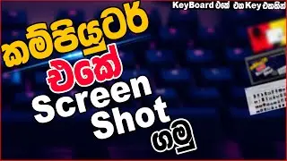How to take a screen shot using keyboard in Windows | Sinhala