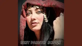 Bus de Naw Pashto Sandra