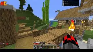 Spectrum1981 Live Stream