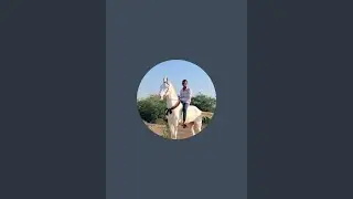 Royal stud farm bhabhar 🥇🐎 is live