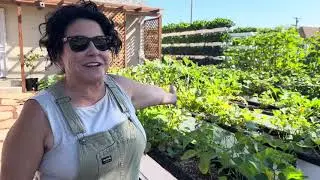 incredible results with Vegan Fertilizer