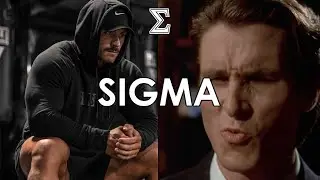 CBUM HARDSTYLE MIX #7 ☄️Road to become Mr. Olympia