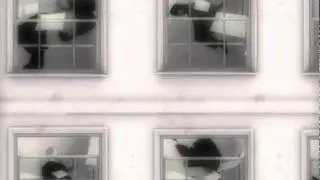 From Where I am Standing (2005) Carl Stevenson & Lindsey Butcher - Extract