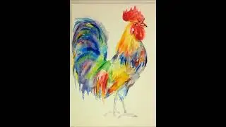 colorful chicken rooster watercolor painting @user-tn3hc5nx6m