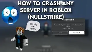 [NEW ⭐!] How to crash any server