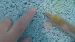 Vinyl lined swimming pool leak detection & repair in Thagoona