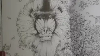 Animorphia - Kerby Rosanes flip