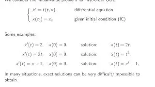 ch9 1. Numerical solutions for ODEs. Introduction. Wen Shen