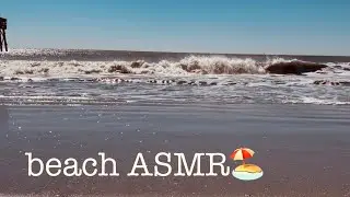 beach ASMR!! wave sounds + shells!!🌊🐚