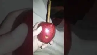 Got a Apple with blunt