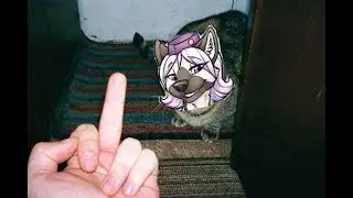 Inkedfur in the case of improper pandemic parcel management
