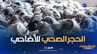 الشروق مورنينغ | متابعة عملية الحجر الصحي للأضاحي المستوردة