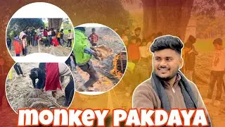 Monkey pakdaya...#shorts #shortvideo #trending #funny #viral #vlog #minivlog #love #comedy #short 