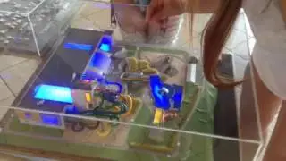 Схема аквапарка Ливу в Риге