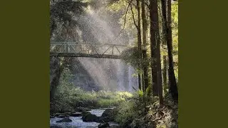Sunshower 01