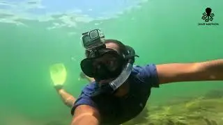 Melhor kit de Mergulho 2022 ! Vision Dry da Dive Motion +CUPOM #snorkeling#mergulho#kit de mergulho