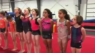 Level 9 and 10 Coral Girls attend the Region 7 Clinic | Gymscool