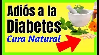 Como TERMINAR con la DIABETES TIPO 2 Tratamiento Natural Remedios Caseros 2025