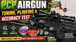 PCP Air gun Plinking